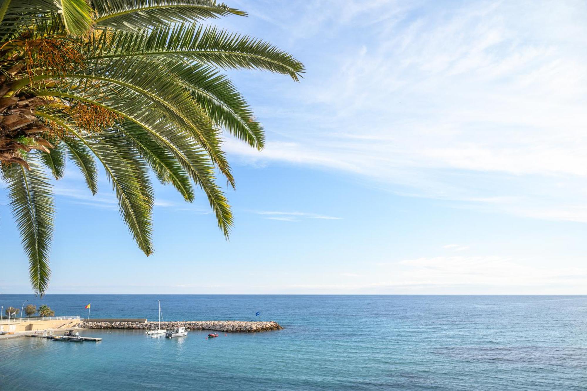 Le Coq Ligures - Air Conditioning - Seafront - Wifi Roquebrune-Cap-Martin Bagian luar foto